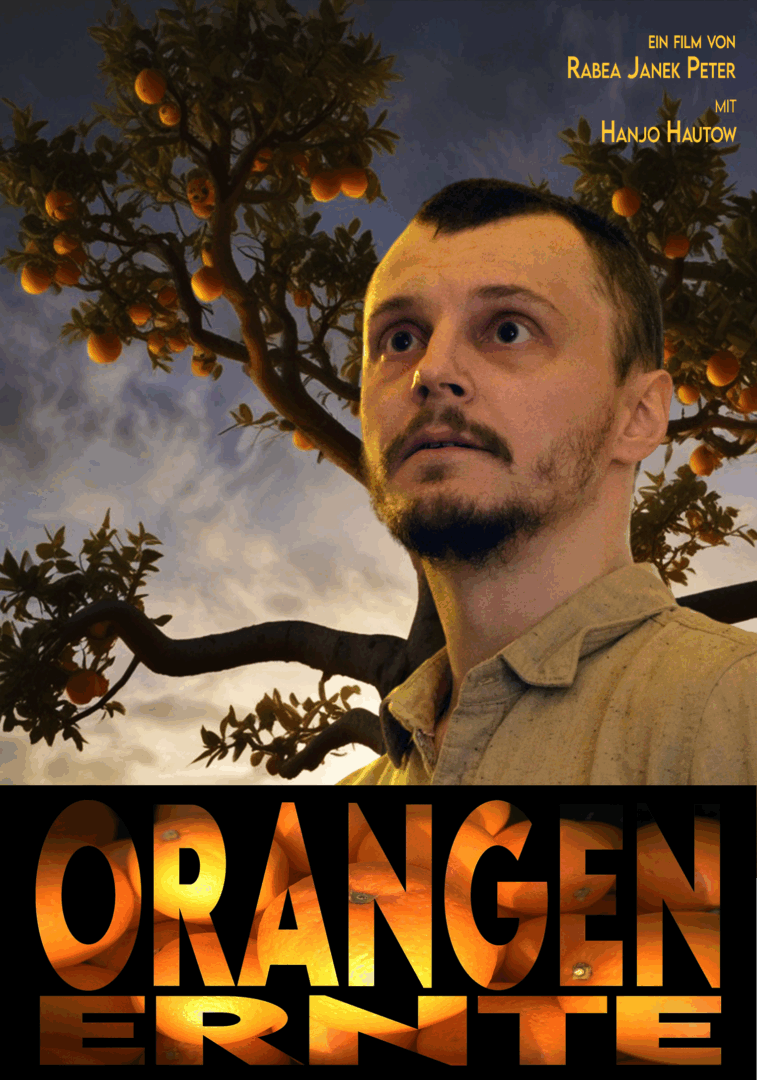 Orangenernte